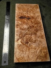 Maple Burl Slab / Board 16 x 7 x 3/4   Heavy ...