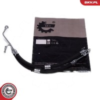 Esen SKV Servoleitung Hydraulikschlauch Lenkung FüR BMW X5 E53