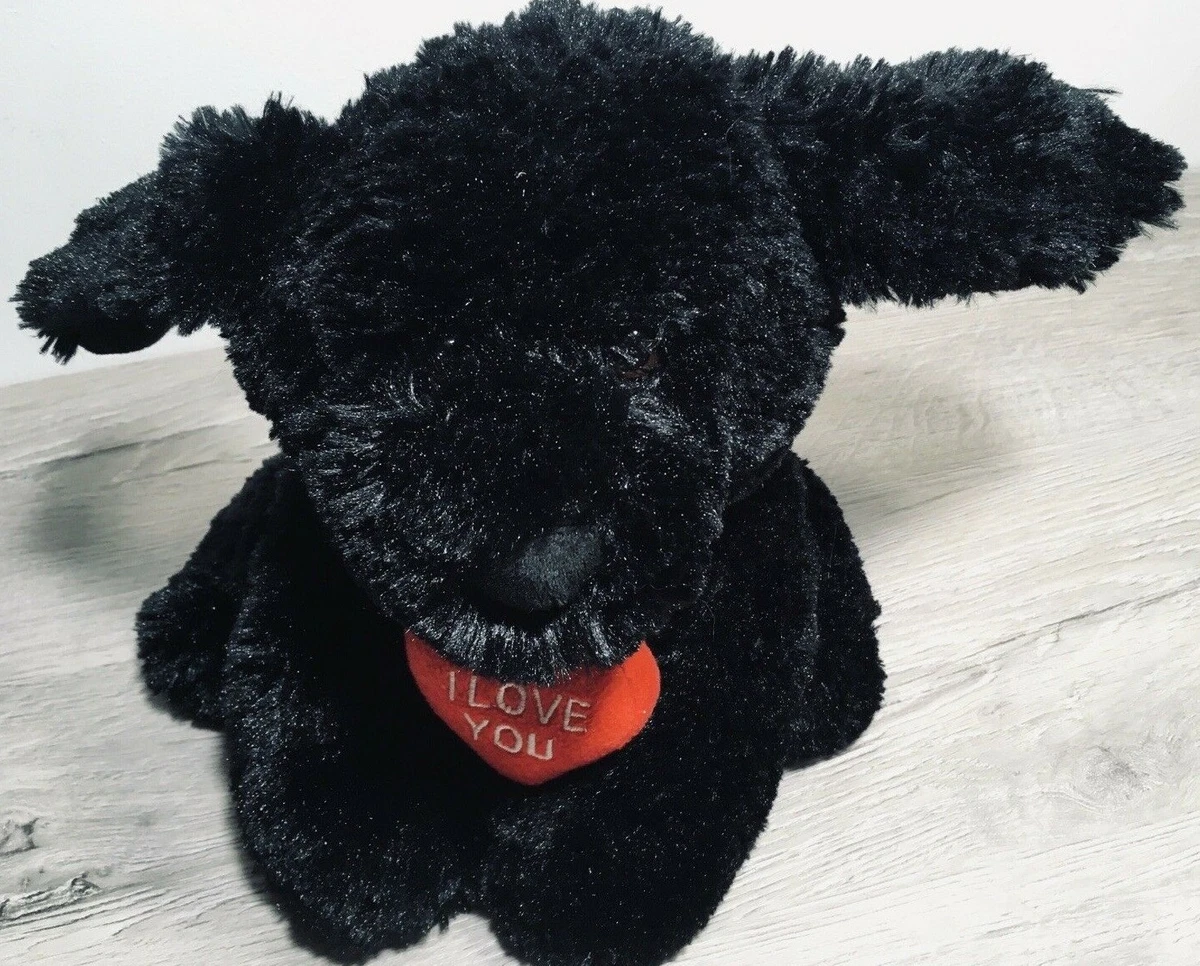 Black dog with red collar cheap