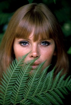 Britt Ekland 8x12 Giclee photo