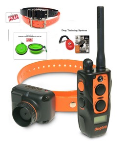 dogtra 2700