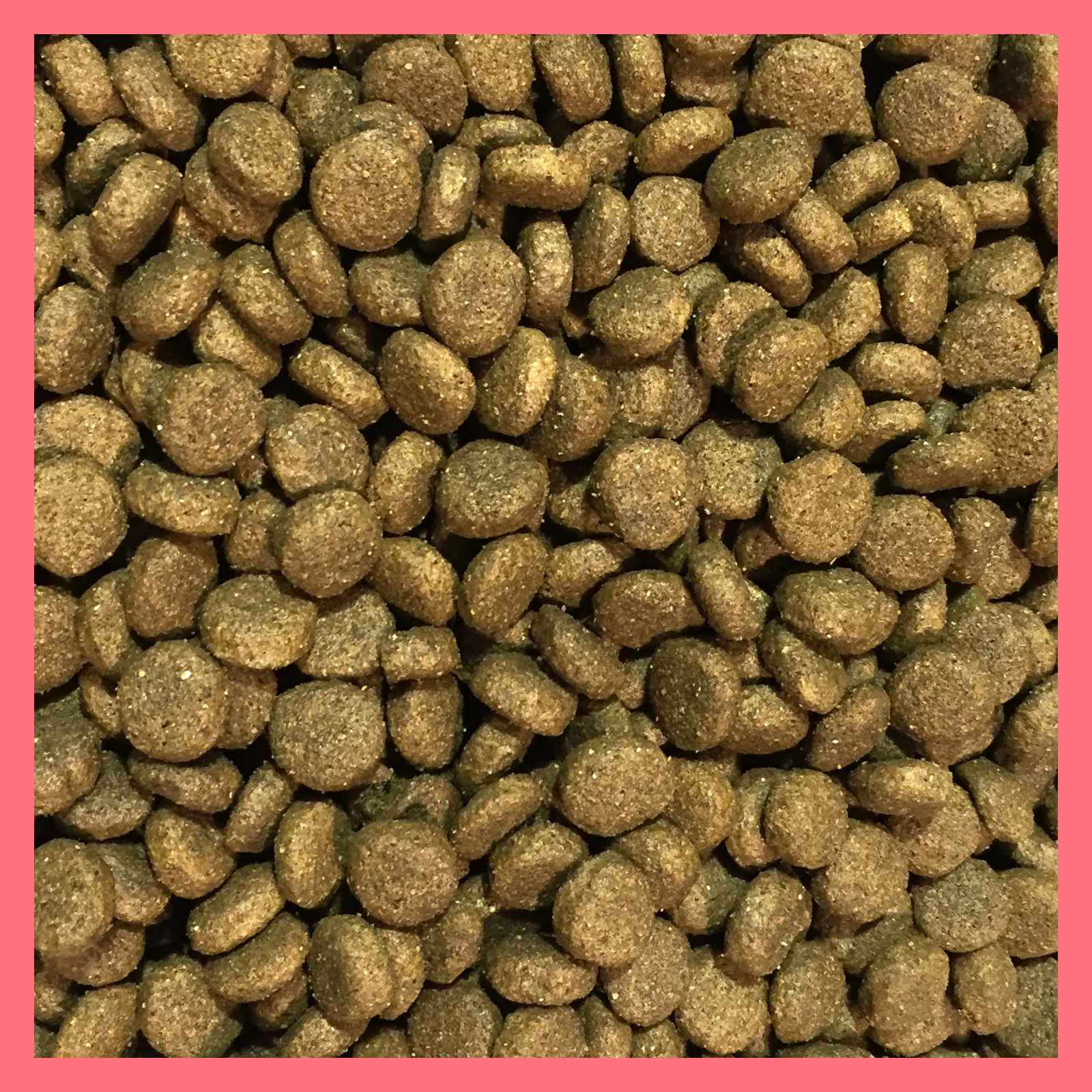 12Kg Salmon & Rice Sensitive Hypoallergenic Super Premium Adult Active