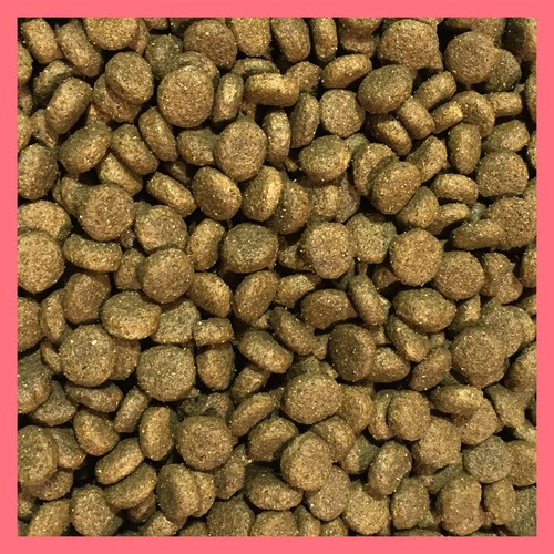 15Kg Salmon & Rice Sensitive Hypoallergenic Super Premium Adult Active