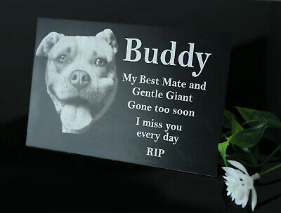 STAINLESS STEEL MEMORIAL PLAQUE URN GRAVE MARKER LASER ENGRAVE YOUR DOG PHOTO