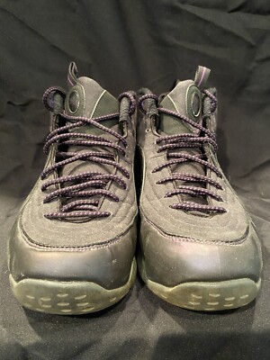 Nike Air Penny 1/2 Cent Eggplant Foamposite Size 11 344646-500