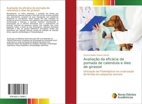 AvaliaçãO Da EficáCia Da Pomada De Calendula E óLeo De Girassol Simone BallãO Ta-image