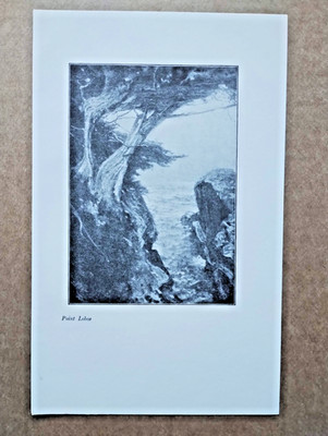 Point Lobos, Kalifornien - antiker Druck - 1927