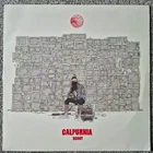 Calpurnia Scout EP 12” Vinyl Finn Wolfhard Rare Stranger Things EX-EX