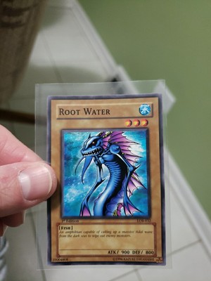 Root Water LOB-032 1st Edition Legend Of Blue Eyes Near Mint English Version 