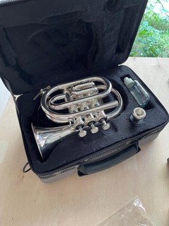 Piccolo Trompete Musikhaus Geiger&Geiger Kehl