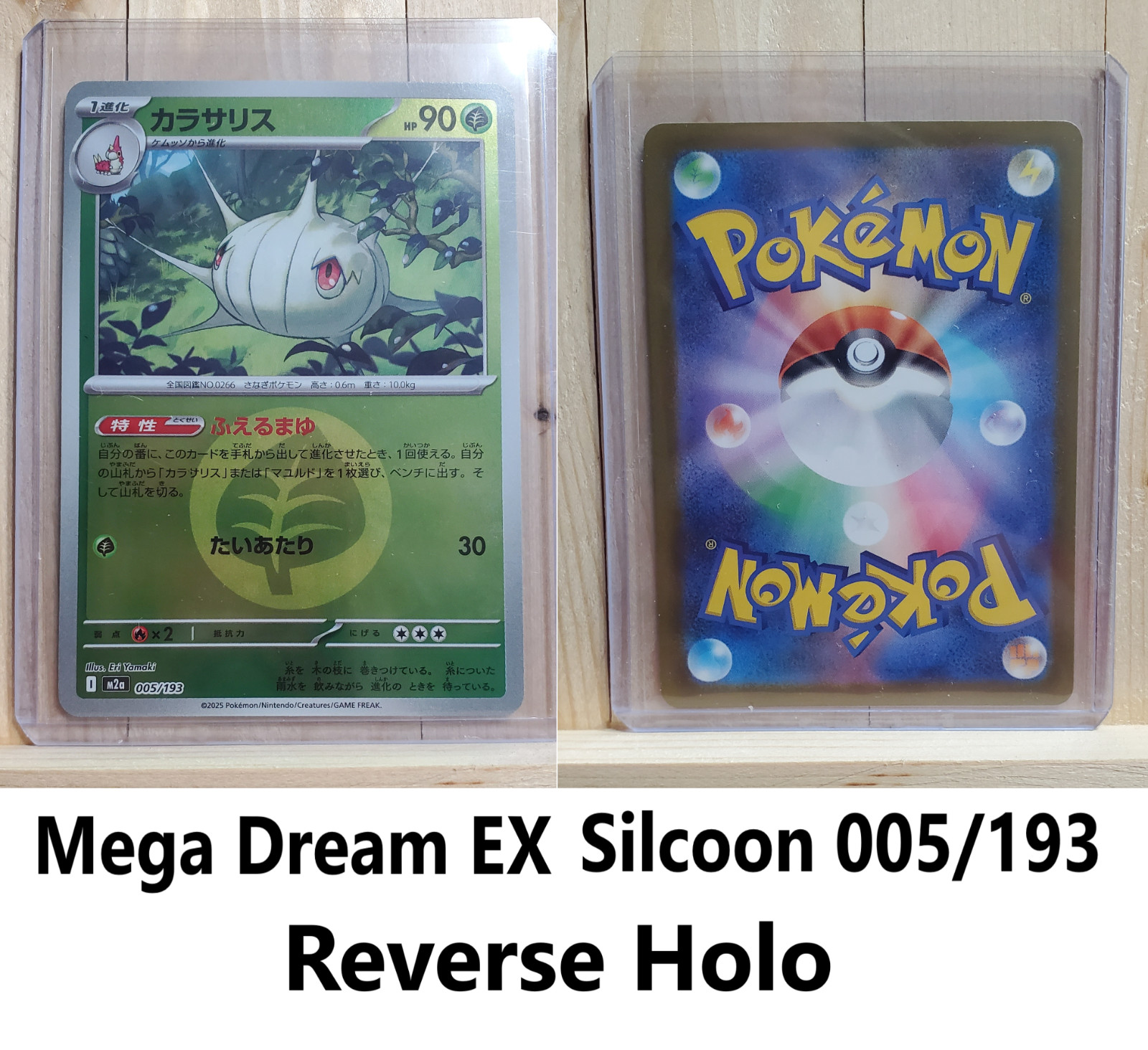 Silcoon - 005/193 - Energy Reverse Holo - M2a Mega Dream ex