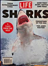 Life Magazine-Sharks-Predators of the Sea-Sha...