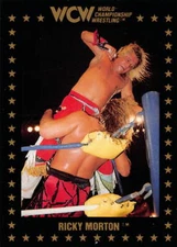 1991 Championship Marketing WCW #30 Ricky Morton