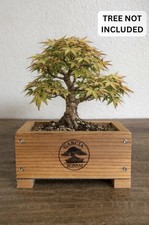 Bonsai Grow Box Shohin Development Redwood Ru...