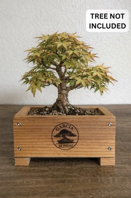 Bonsai Grow Box Shohin Development Redwood Rust Resistant 7x7x3.5  Garcia Bonsai