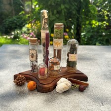 Probówki do zielników wiktoriańskich na płycie z drewna tekowego zielnik botaniczny