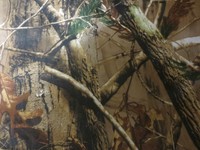 Waterproof Camo Fabric Cloth Material Hunting Fishing Shooting Hide 1.5m X 5m Waterproof Camo Fabric Cloth Material Hunting Fishing Shooting Hide 1.5m X 5m