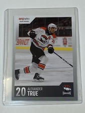 Alexander True 20 Charlotte Checkers Hockey Card 2023 2024 Season AHL Edition NC