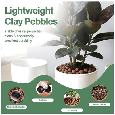 Hydroton Clay Pebbles for Orchids & Succulents