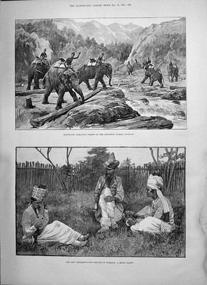 Alte 1891 Elefanten entfernen Holz Chindwin Wald Burma Regimenter M viktorianisch