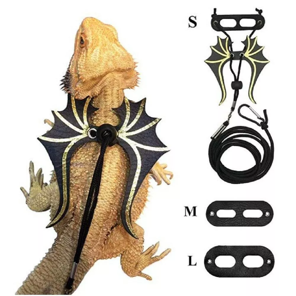 Bearded dragon top leash wings