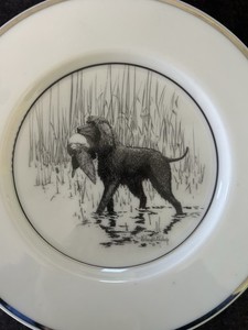 Irish Water Spaniel Lenox Plate By Richard Bishop Perfect