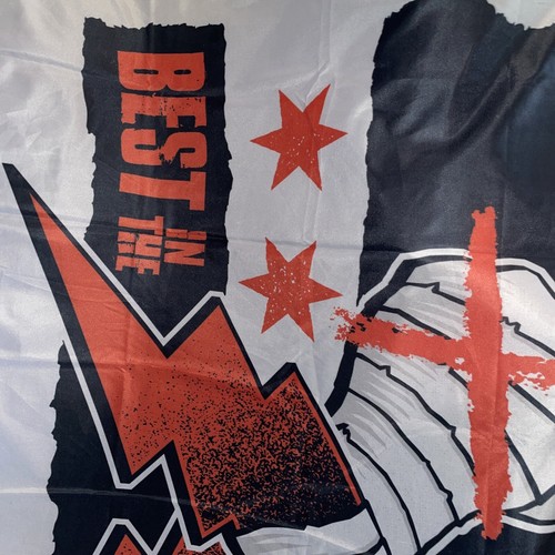 AEW X CM Punk Banner Flag • Rochester Ny Event 9/29/21 Thank You Brodie 🕊 - Picture 3 of 5