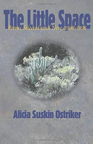 Alicia Suskin Ostriker Little Space, The (Paperback) (UK IMPORT) - Picture 1 of 1