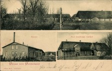 Ak Goldelund in Nordfriesland, Meierei, Paul Bendixens Gasthof - 10970426
