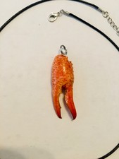 crawfish claw pendant  taxidermy oddity
