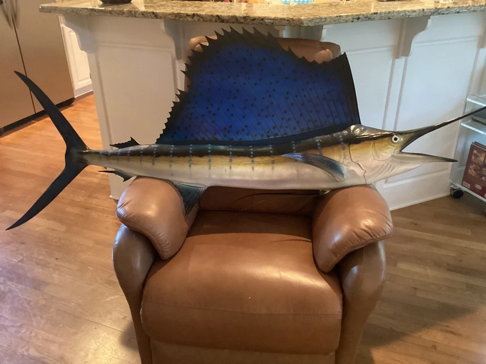 taxidermia pez vela Foto 2 de 3