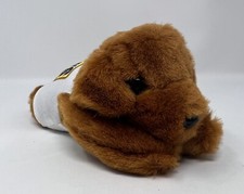 Bush  s Baked Beans Duke Puppy Dog Mascot Plush Stuffed Toy Animal Fair 1999 7  