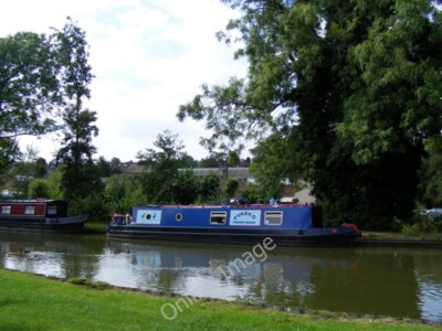 Photo 6x4 Canal Fields, Berkhamsted Pukeko, a rare sight in Berkhamsted!  c2009