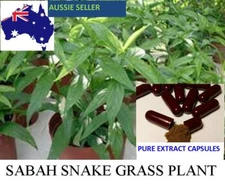 Sabah Snake Grass Clinacanthus Nutans 100% EXTRACT (Capsules) 90 caps X 480mg 