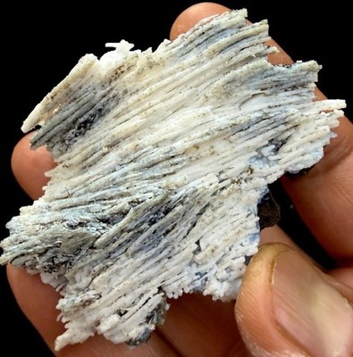 Chalcedony unusual coral formation # 726