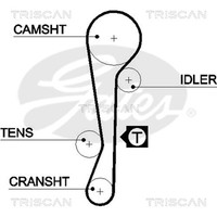 Triscan Zahnriemen 8645 5479XS FüR Hyundai KIA Elantra 3 XD Getz TB Accent 2 LC