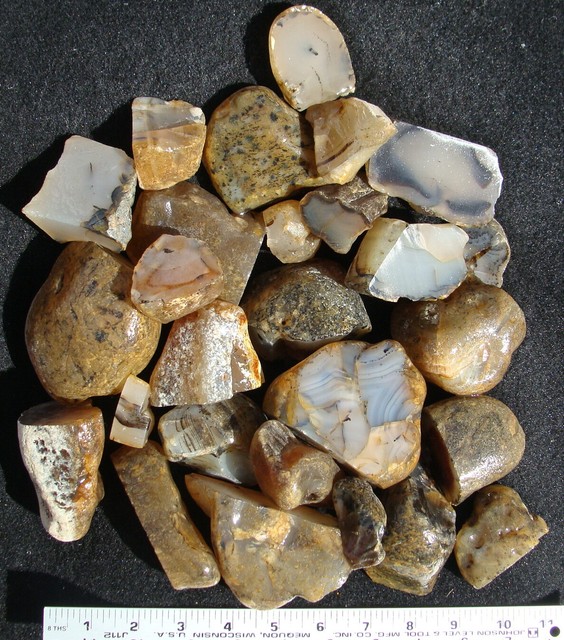 MONTANA MOSS AGATE SAW CUT ROUGH 14 OUNCES BIN 385 | eBay