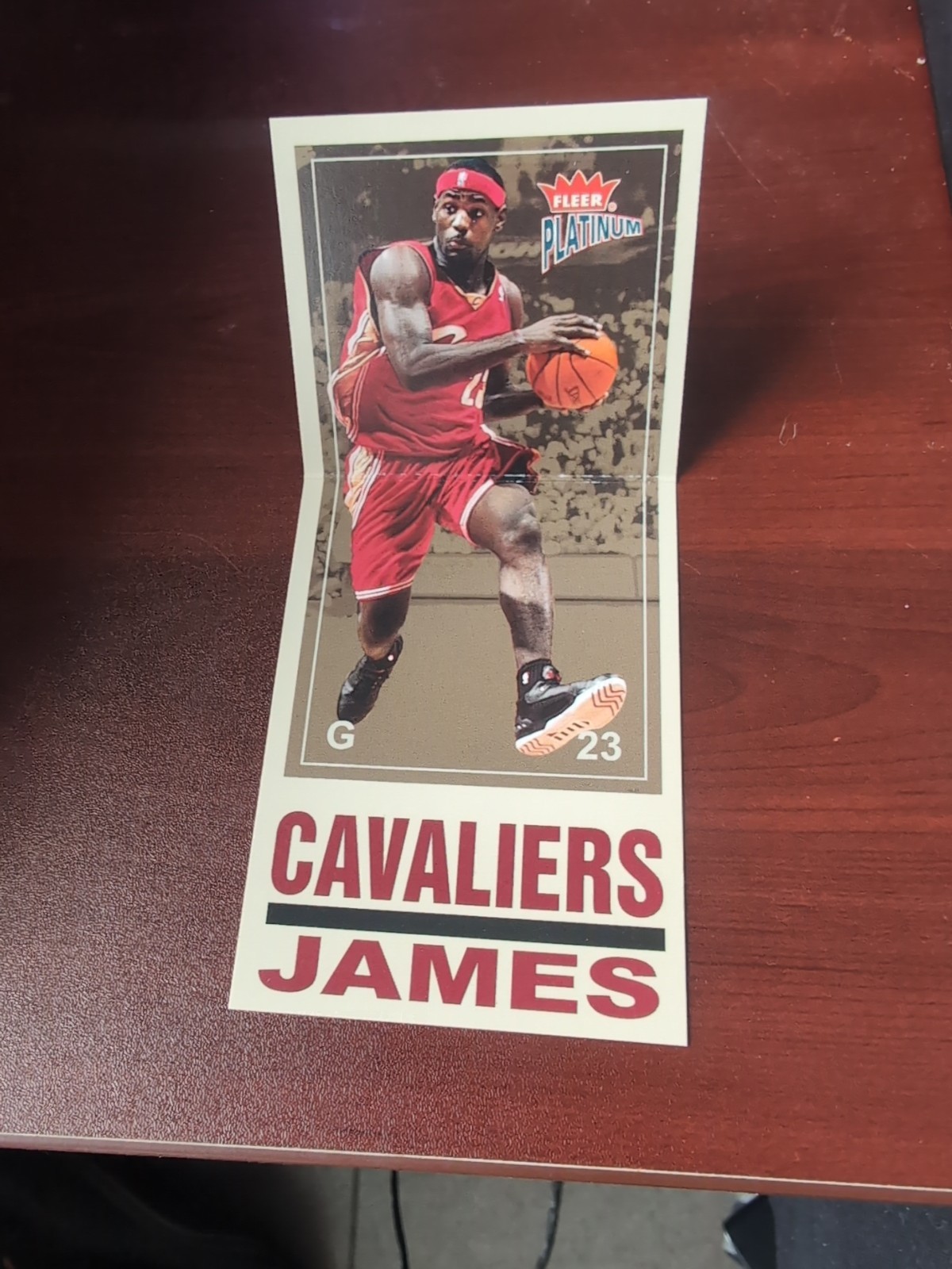 2003-04 Fleer Platinum - Big Signs LeBron James #7 BS (RC)