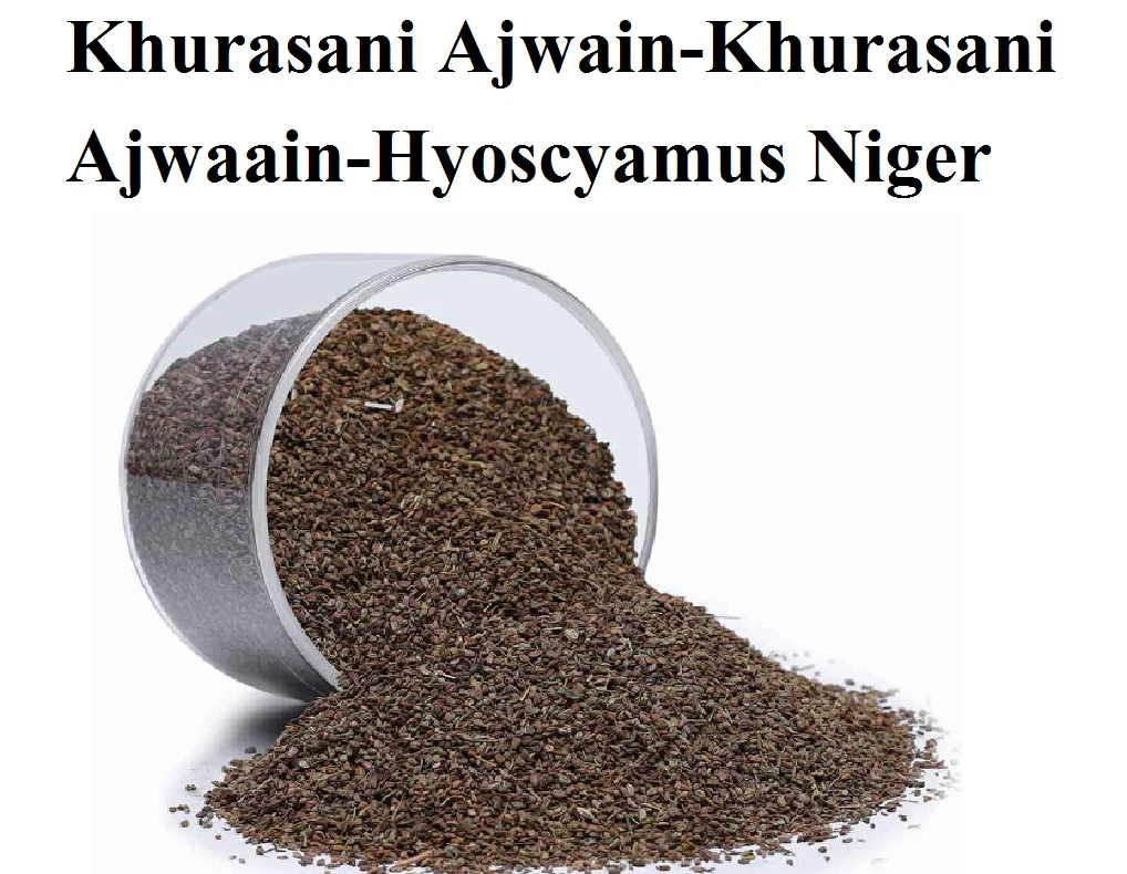 Ajwain In English