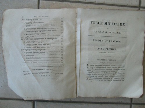 DUPIN : FORCE MILITAIRE DE LA GRANDE-BRETAGNE, 1825. - Picture 3 of 12