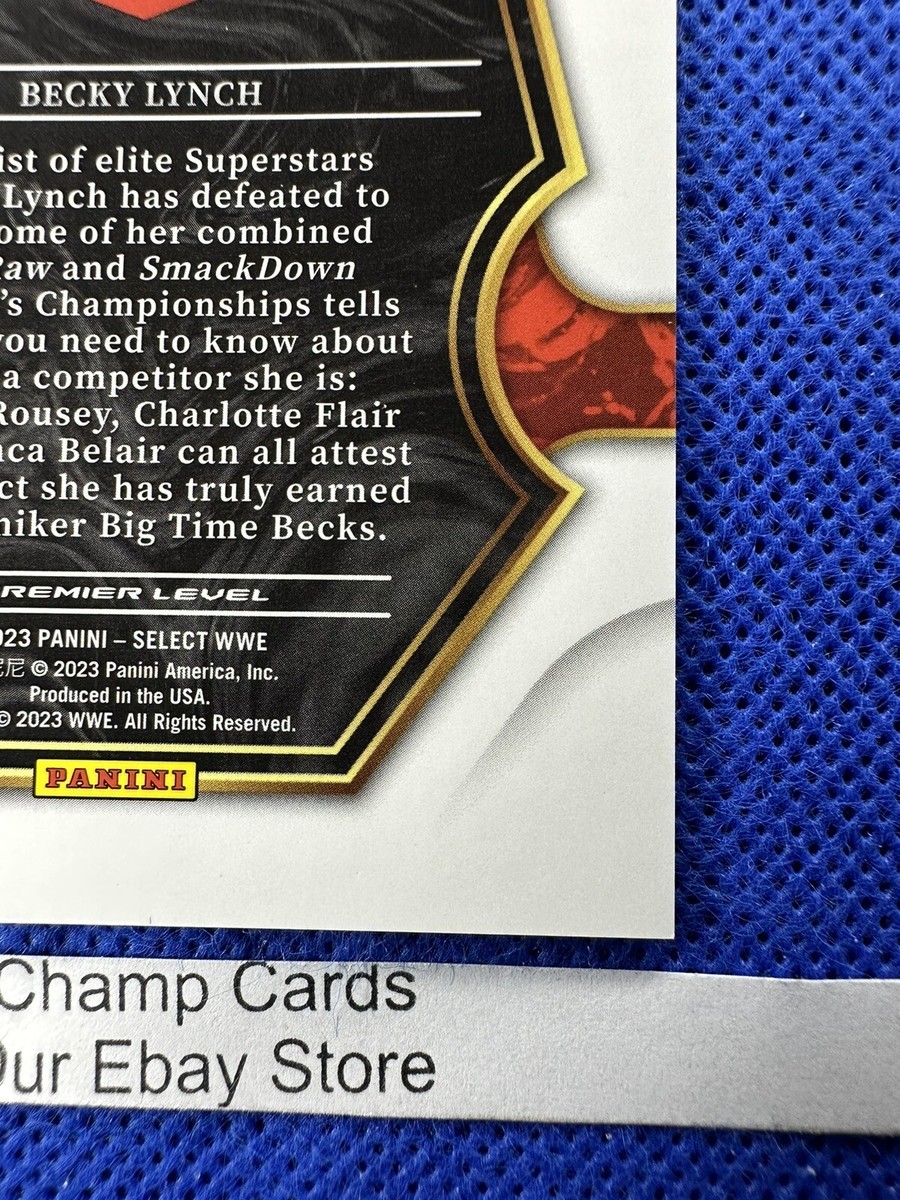 EXCLUSIVE  Brad＆Angelina 1999 WWF Jakks Pacific World Title Belt Signature Series