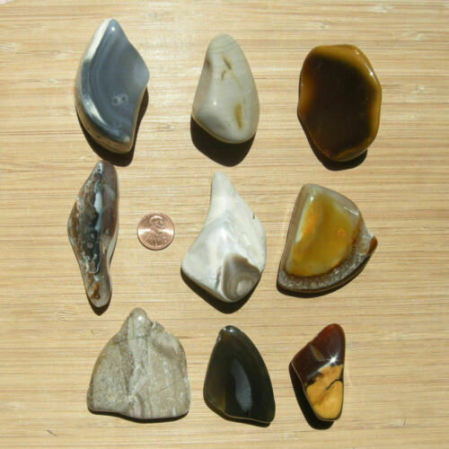 9 Rock Slices and Geode Stones Mixed Polished Agate and Jasper Crystals 1LB Lot - 第 3/5 張圖片