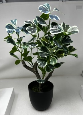 Schöne 40 cm hohe künstliche Ficus Pflanzen grün künstlicher Bonsai Baum Kunstpflanze