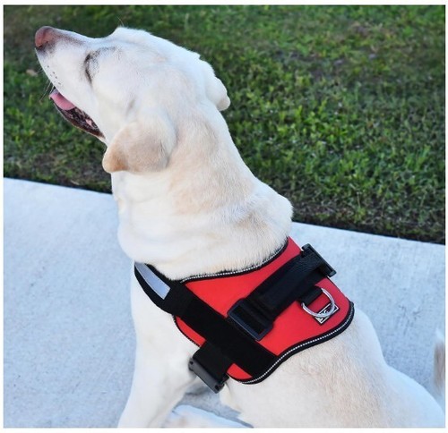 Dogline Multipurpose Dog Harness Medium 22"-30" Control Handle Padded Heavy Duty - Picture 3 of 5