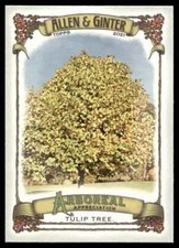 2021 Allen & Ginter Arboreal Appreciation Tulip Tree #AA14