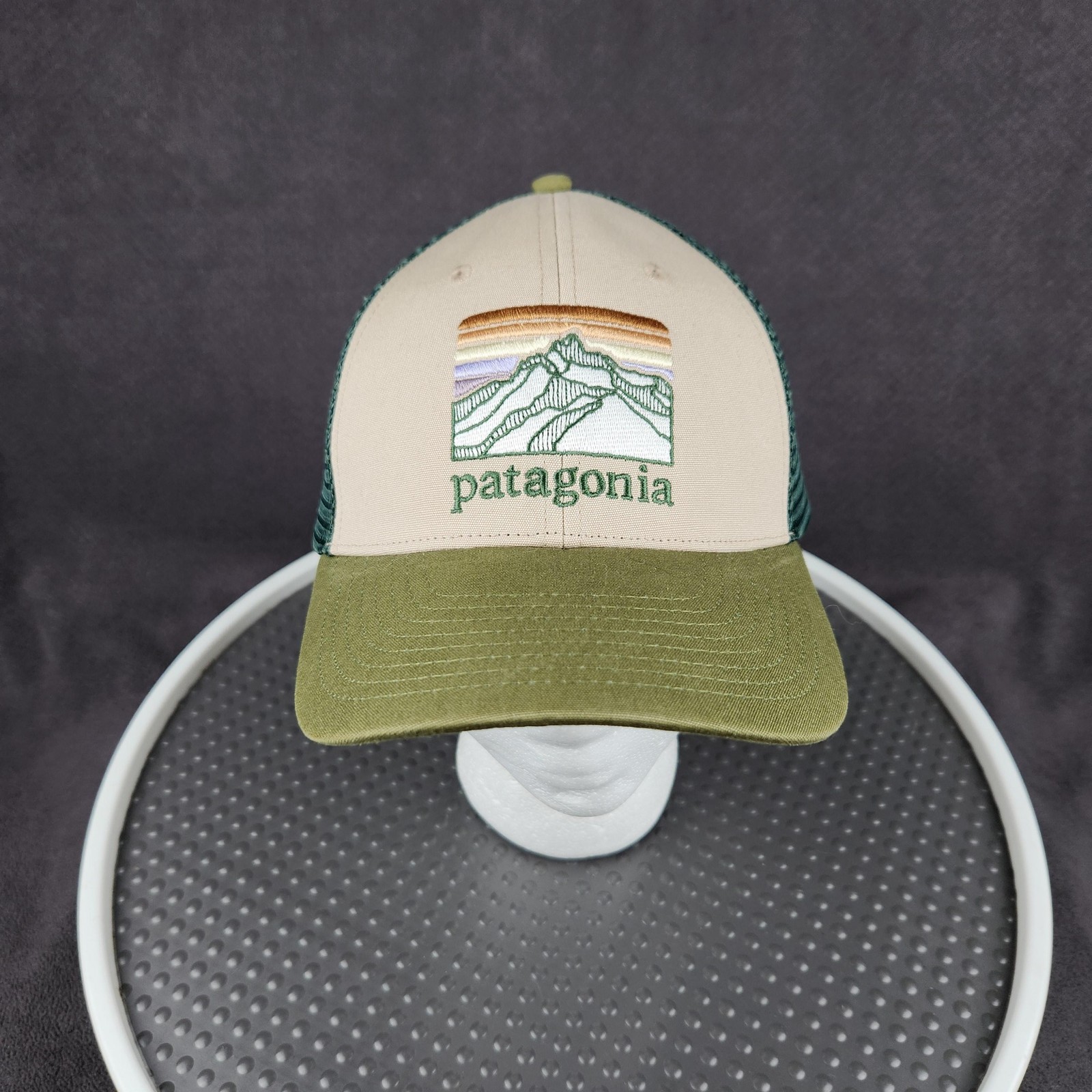Patagonia Line Logo Ridge LoPro Trucker Cap Snap Back Green 