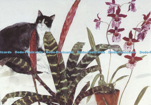 D015523 E. Blackadder. Cat with Orchid and Plant. 1992. Beacon Press - Photo 1 sur 4