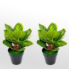 Set of 2 Potted Artificial Plants Dragon Tree Ultra Realistic