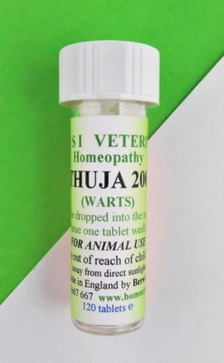 Thuja 200 Homeopathy Remedy Warts Sarcoids Dogs Cat Horse Donkey 120  Pillules | eBay