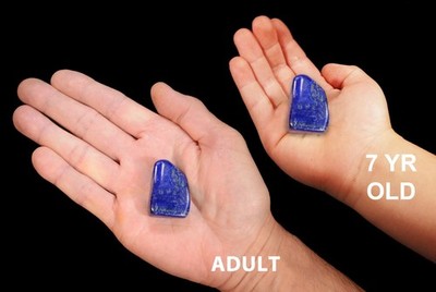 LAPIS LAZULI 1'' A Grade Tumbled Polished Rock Mineral Specimen Chakra Healing